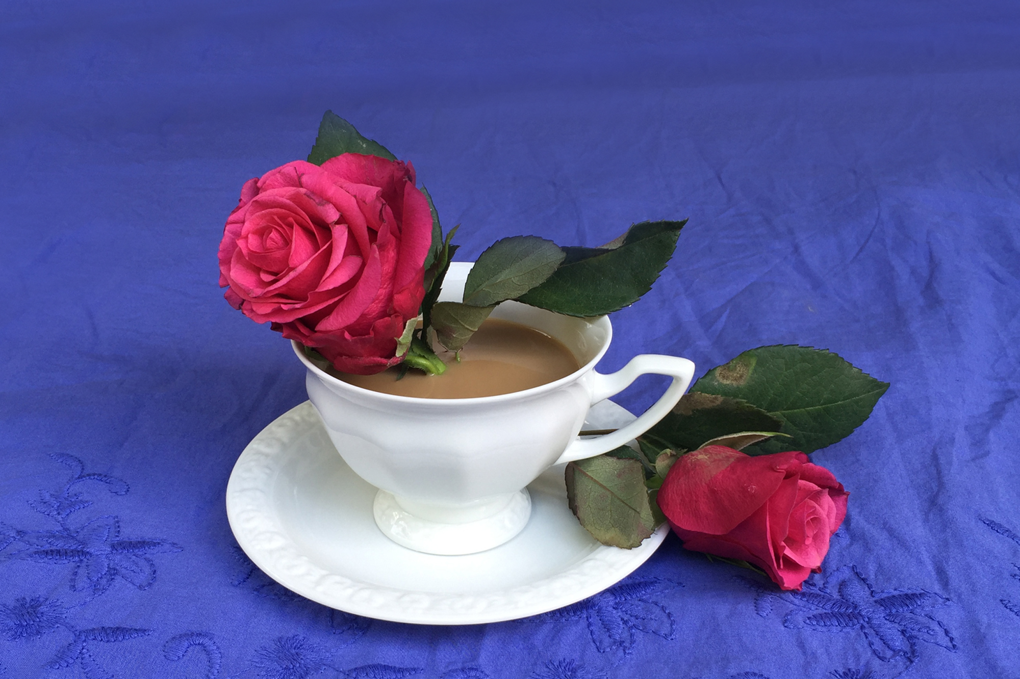 Rose im Kaffee