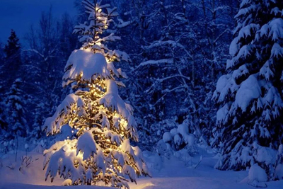 Wir wünschen unsern Mitgliedern, Spendern, Gästen und Mitarbeitern eine frohe Weihnachtszeit, erholsame Tage und einen guten Start in´s Jahr 2026!