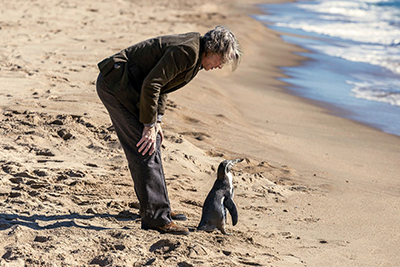 Seniorenkino im Kino Breitwand – „Der Pinguin meines Lebens“