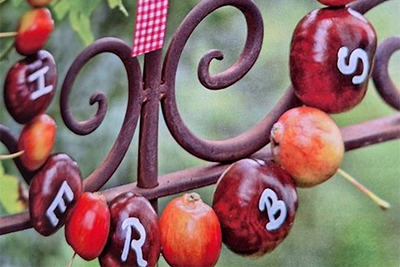 Farbenfrohe Bastelei mit Herbstfrüchten – Für die ältere Generation